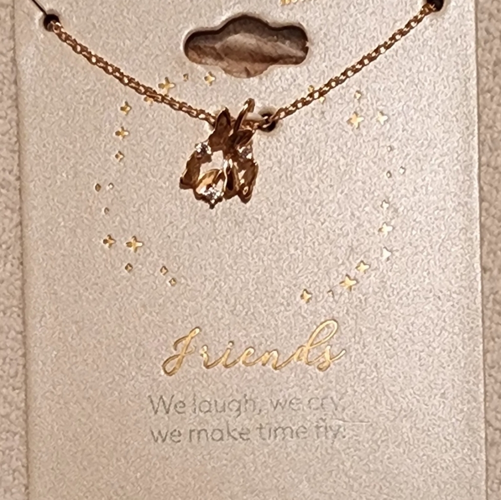 Sterling Silver "Friends" Necklace